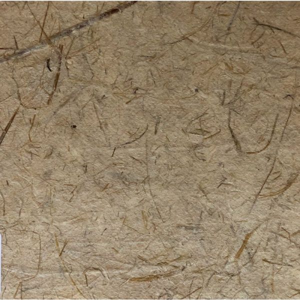 lemongrass-papier-80x55cm-140gr.jpg