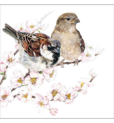 sparrows-blossom.jpg