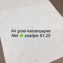 72710069_2179606198999381_6761969890615099392_n.jpg