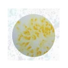 Flash pigment 40ml geel