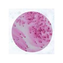 Flash pigment 40ml magenta