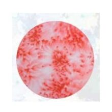 Flash pigment 40ml rood