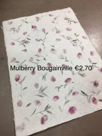 Mulberry-Bougainville.jpg