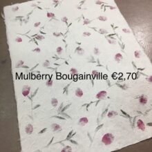 Mulberry-Bougainville.jpg