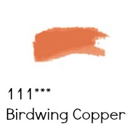 birdwing copper