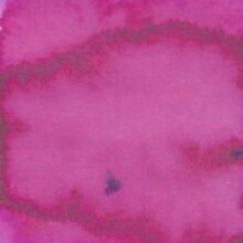ecoline_roze